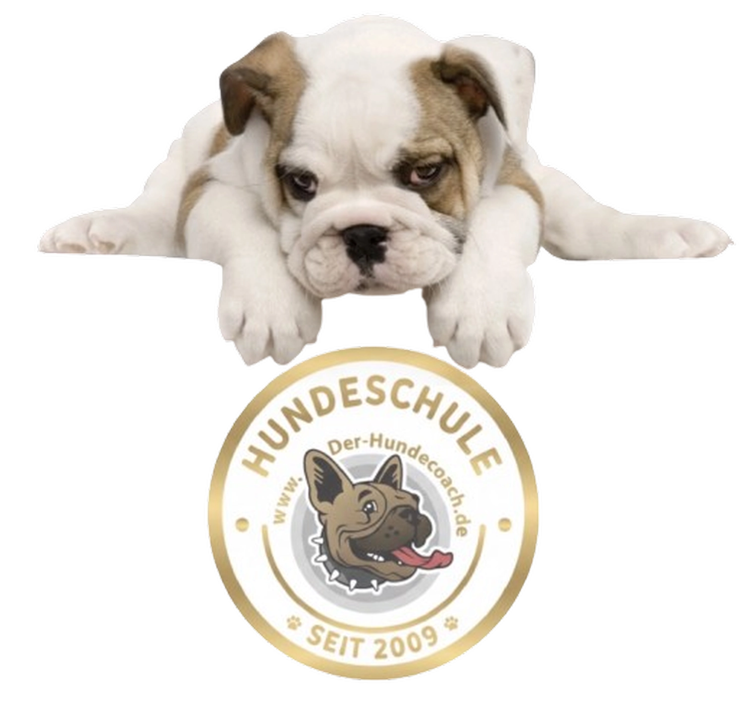 Der Hundecoach - Hundeschule - Dieses Bild ist Werbung für eine Hundeschule in Deutschland namens „Der-Hundecoach.de“, die seit 2009 besteht.