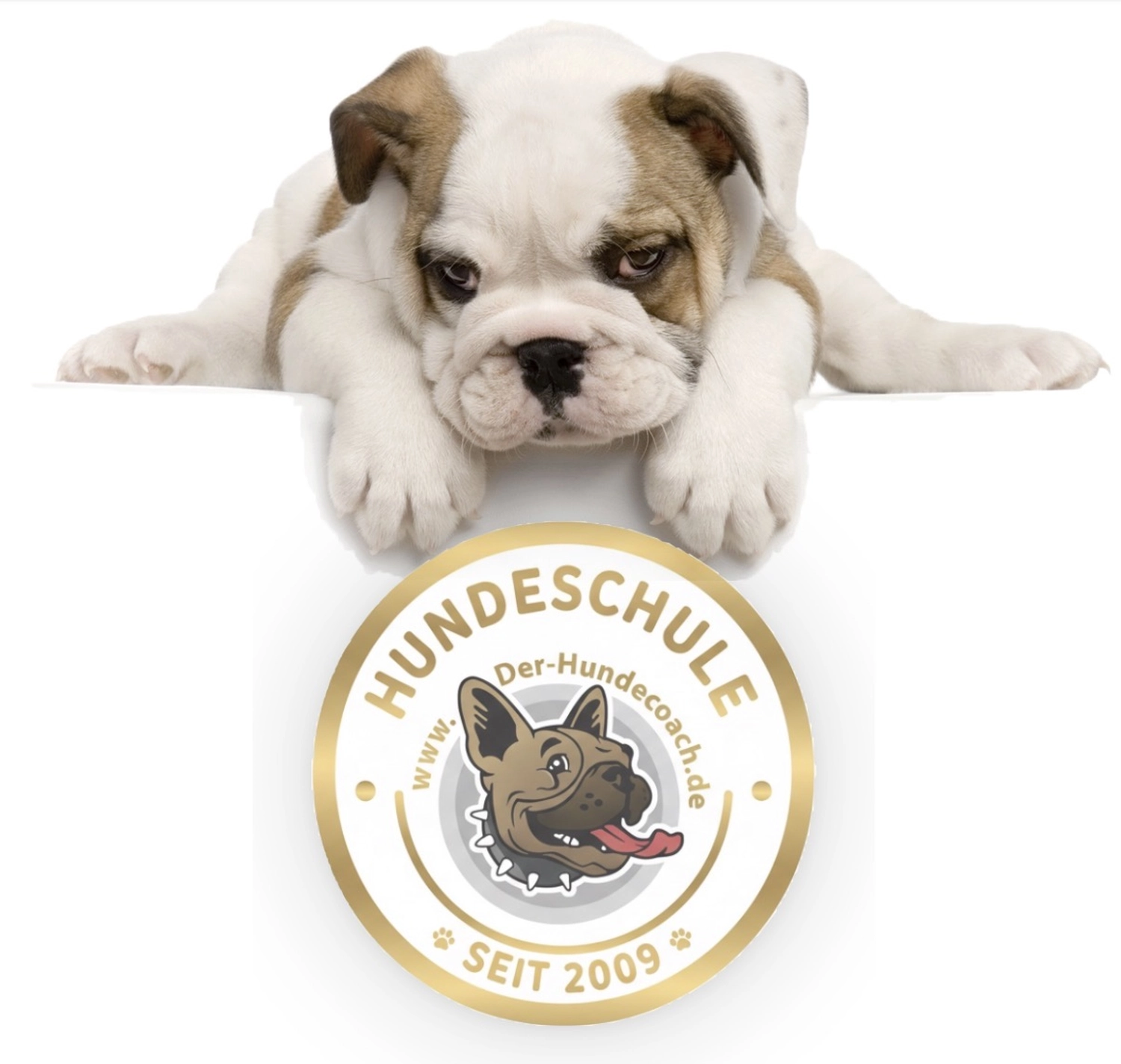 Der Hundecoach - Hundeschule - Dieses Bild ist Werbung für eine Hundeschule in Deutschland namens „Der-Hundecoach.de“, die seit 2009 besteht.