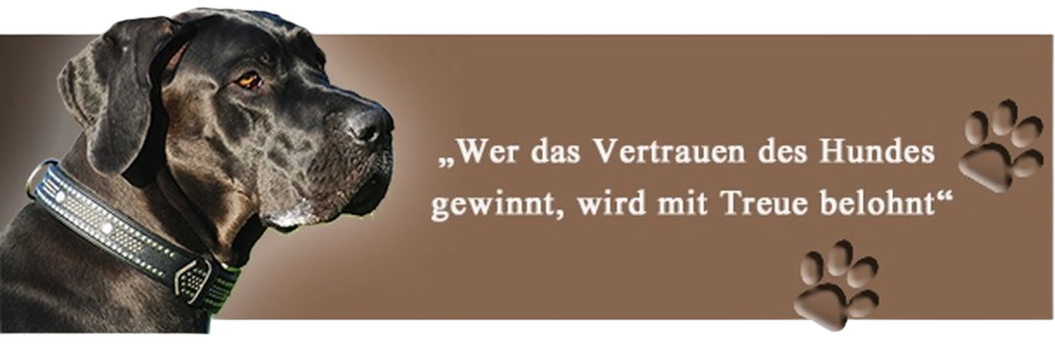 Der Hundecoach - Hundeschule - Hund